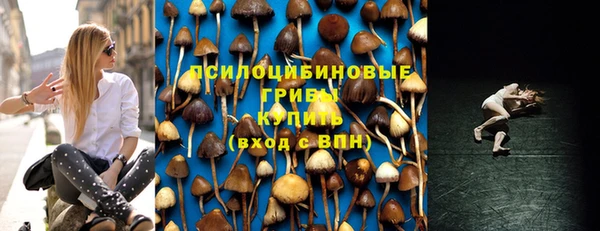 Альфа ПВП Балабаново