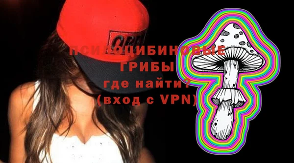 ГАЛЛЮЦИНОГЕННЫЕ ГРИБЫ Балахна