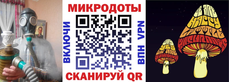закладки Михайлов Галлюциногенные грибы Magic Shrooms